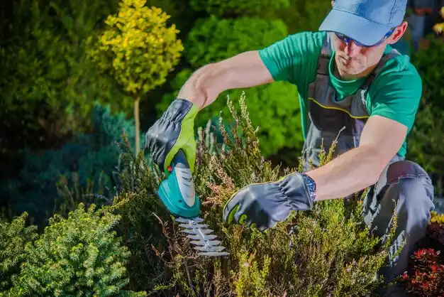 landscaping services Bloomville